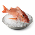 Fresh Red Snapper