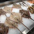 Fresh Stingray