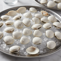 Fresh White Clam