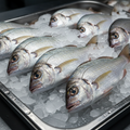 Fresh Angoli (Sea Bream)